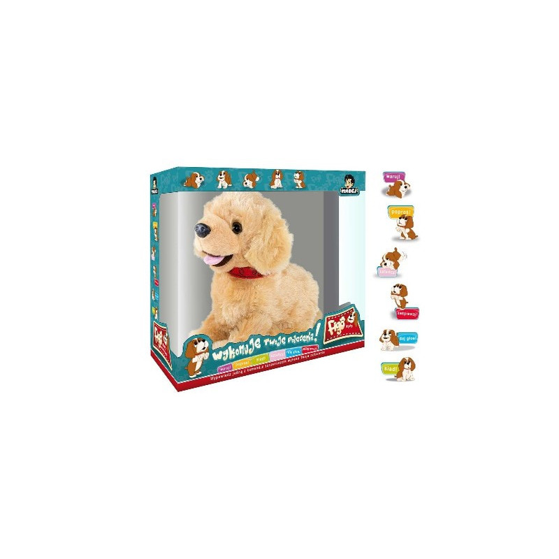 Pies FIGO reagujący na komendy