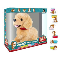 Pies FIGO reagujący na komendy